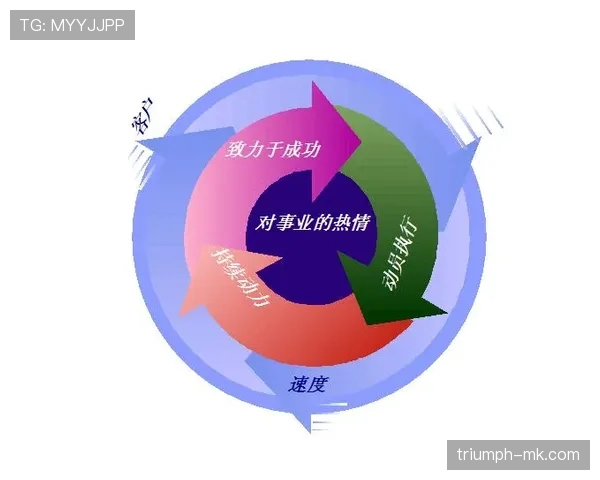 阿什拉夫领导力评价揭示现代领导者的关键特质与影响力分析