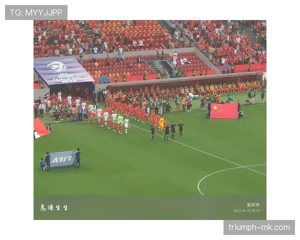 世界杯预选赛事件调查最新进展